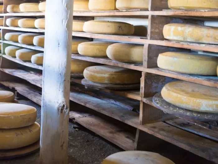 o que é o queijo gruyere