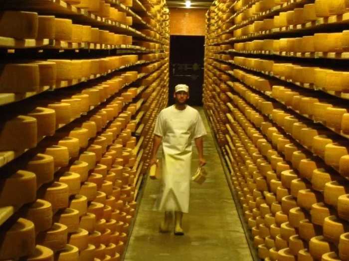 Processo de maturação do queijo gruyere